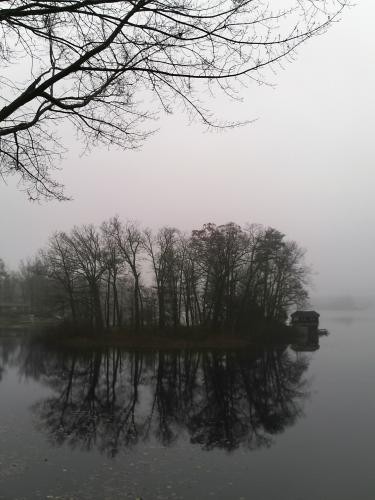 Reflected World