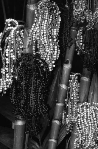 R4F10_plantBeads