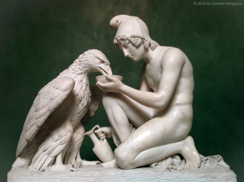 Ganymede Waters Zeus As An Eagle