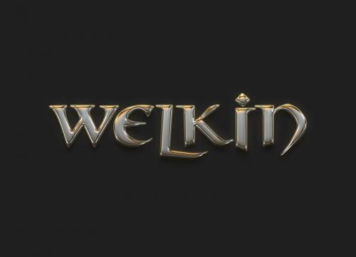 Welkin Logo