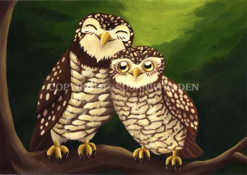 Cheerful Owls