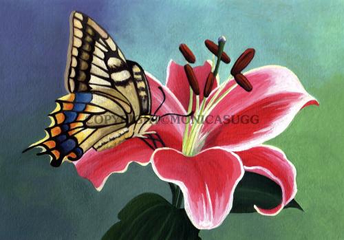 Gentle Wings
