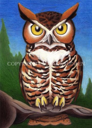 Great Horned Owl Perched