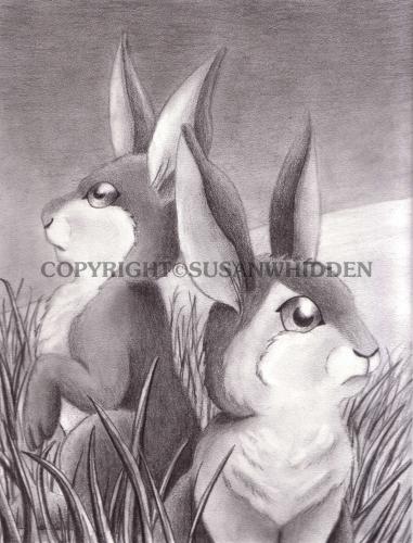 Cover Art Watership Down Drawing