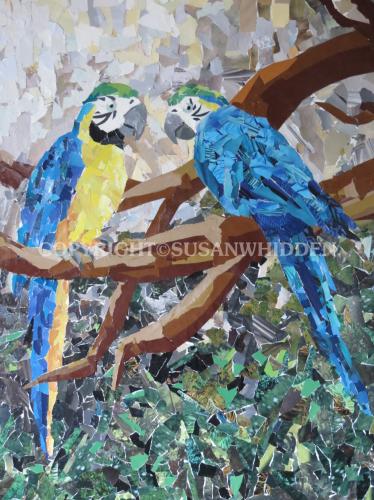 Blue and Gold Macaws Mosaic