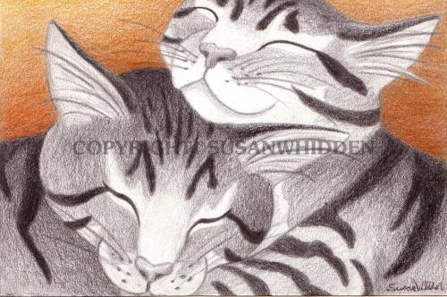 Two Stripy Sisters