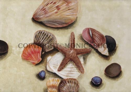 Sea Shell Still Life