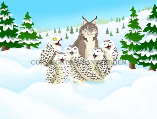 Snowy Owl Surprise