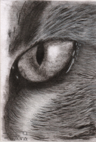Cat eye