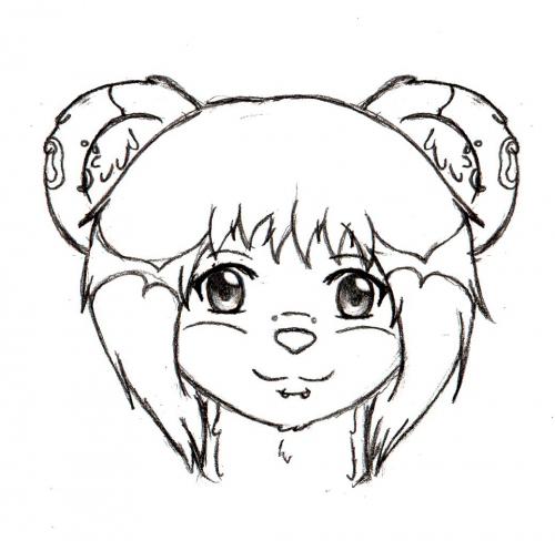 Quinn Early Headshot