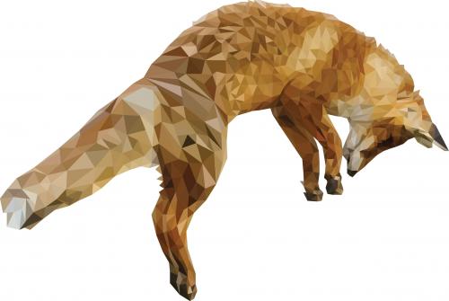 Jumping fox