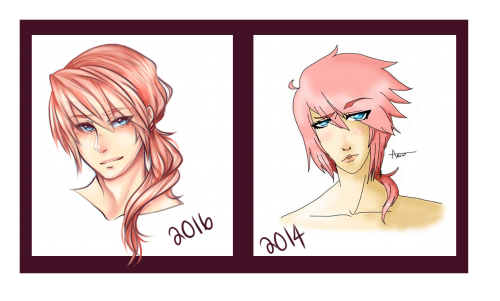 2016 Redraw