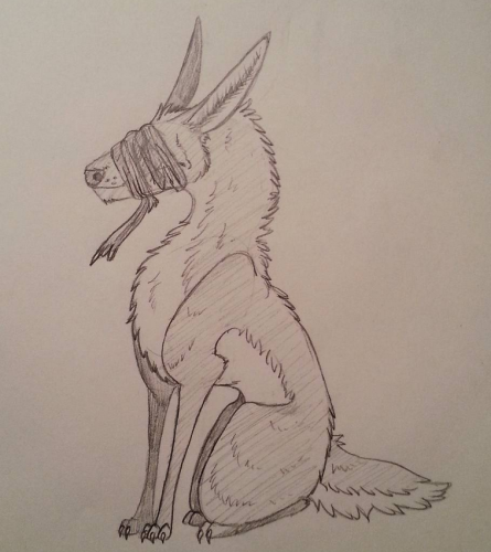 Sightless puppy