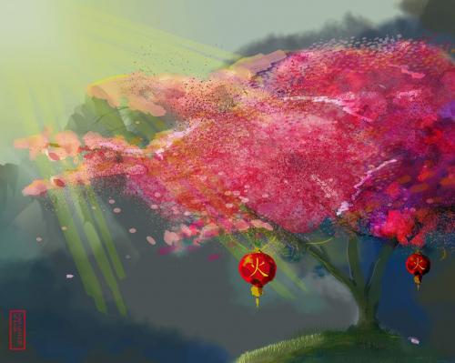 Light under the cherry blossoms