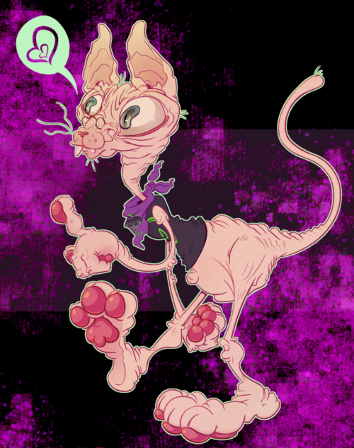 That terrible cat is back