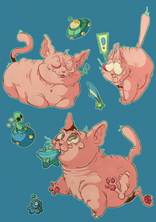 Fat naked cats