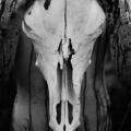 The Black Horned